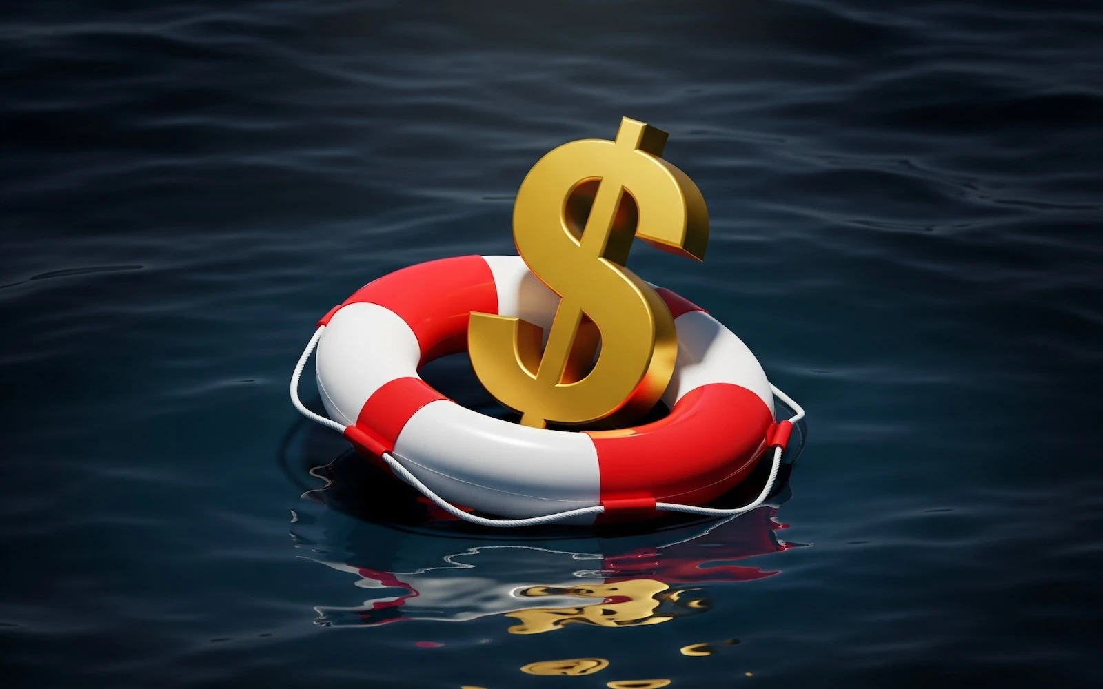 life ring saving a dollar sign